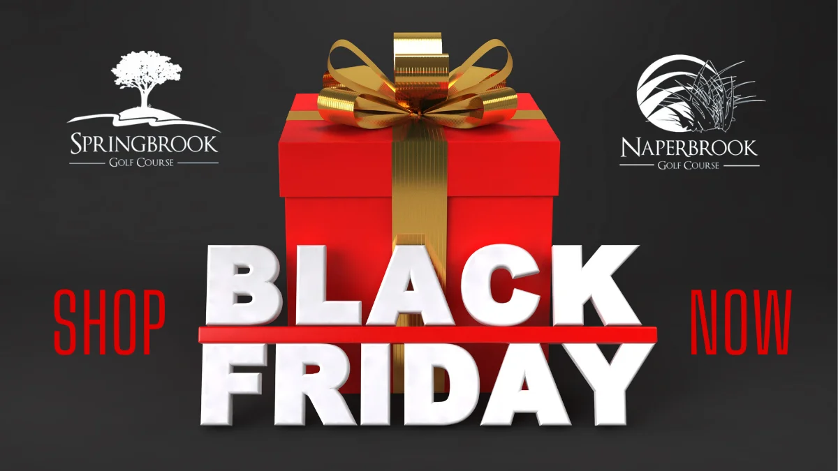 It’s time to Save • Black Friday Sale