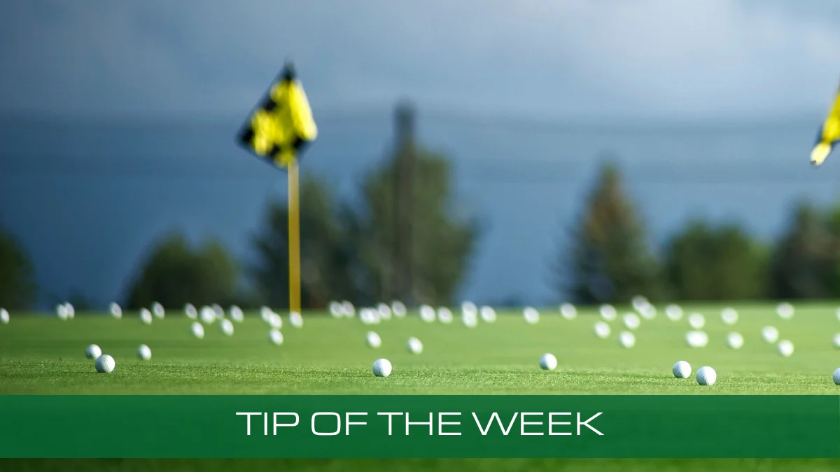 Look for a Practice Net