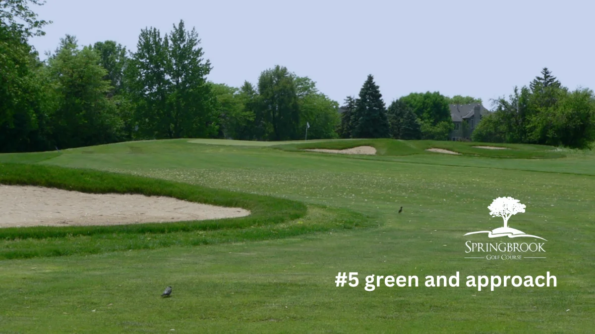 Springbrook Renovation Update